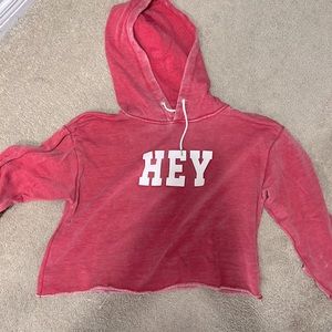 Old pink crop hoodie